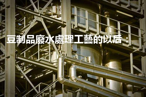 豆制品廢水處理工藝的以后：挑戰(zhàn)與突破？